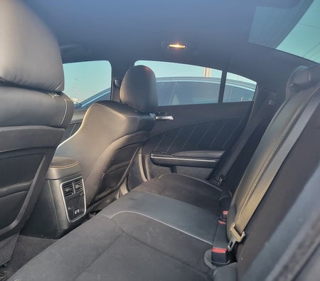 Dodge Charger Scat Pack 2019, photo 4 of 4