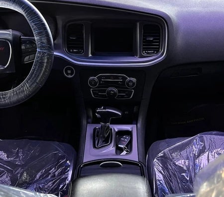 Dodge Charger SXT 2020, photo 4 of 4
