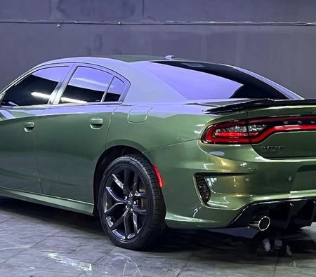 Dodge Charger SXT 2020, photo 3 of 4