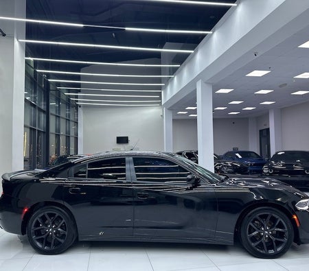 Noir Dodge Charger SXT 2020