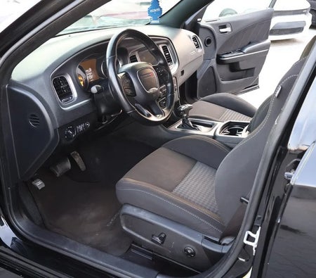 Dodge Charger R/T 2021, photo 2 of 4