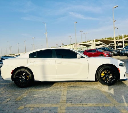Dodge 充电器 2022, photo 4 of 4