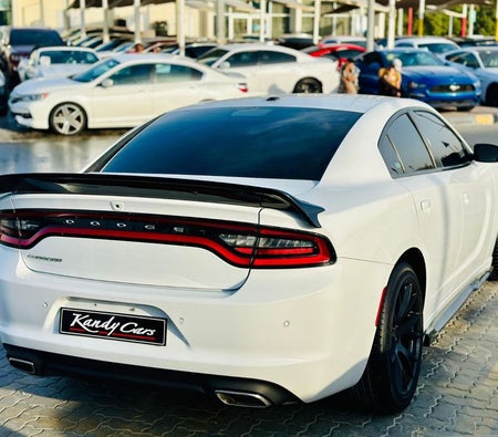 White Dodge Charger 2022