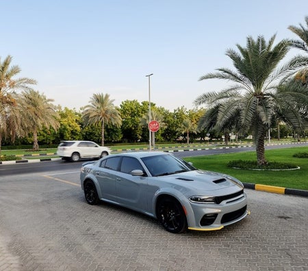 Gray Dodge Charger R/T Scat Pack 2022