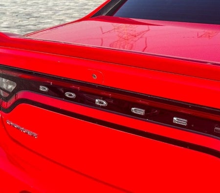 Dodge Charger 2022, photo 4 of 4