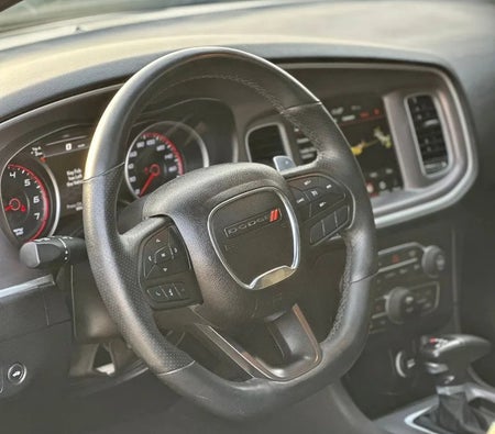 Dodge Charger Scat Pack 2022, photo 3 of 4