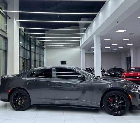 Gray Dodge Charger SXT 2022
