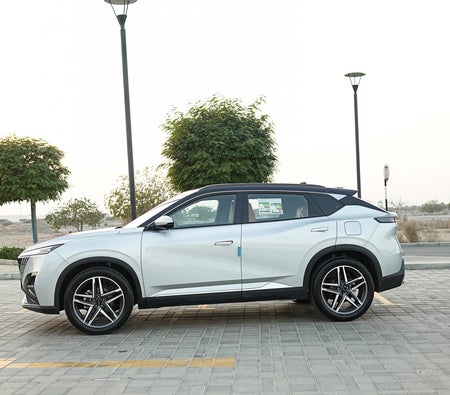 Silver Dongfeng Mage 2026
