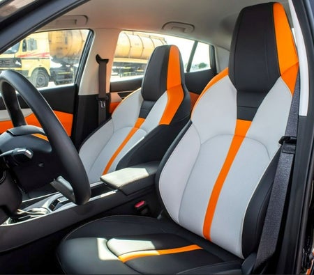 Black Dongfeng Shine 2026