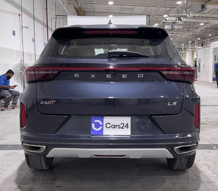 Gray Exeed LX Comfort 2024