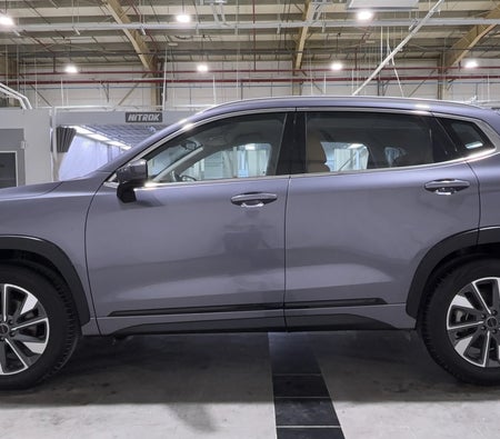 Grau Exeed LX Comfort 2024