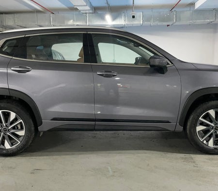 Gris Exeed LX Comfort 2024