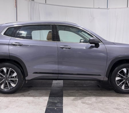 Grau Exeed LX Comfort 2024