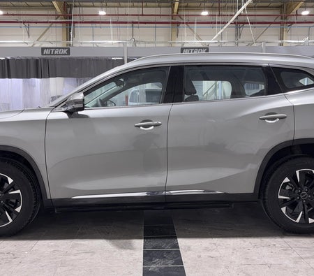 Grau Exeed TXL COMFORT 2024 Grau Exeed TXL COMFORT 2024