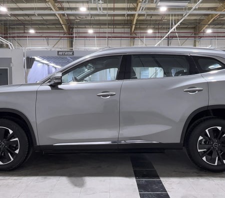 Gray Exeed TXL COMFORT 2024