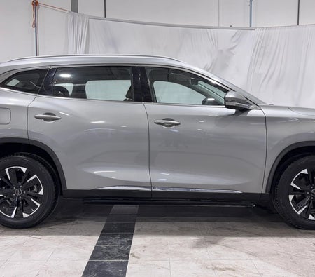 Gray Exeed TXL COMFORT 2024