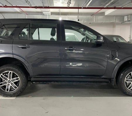 Gray Ford Everest XLS 2024