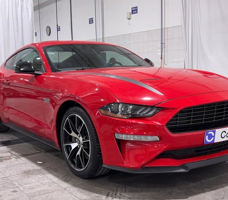 Red Ford Mustang EcoBoost 2022 Red Ford Mustang EcoBoost 2022