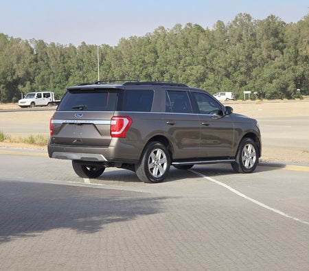 Brown Ford Expedition 2019