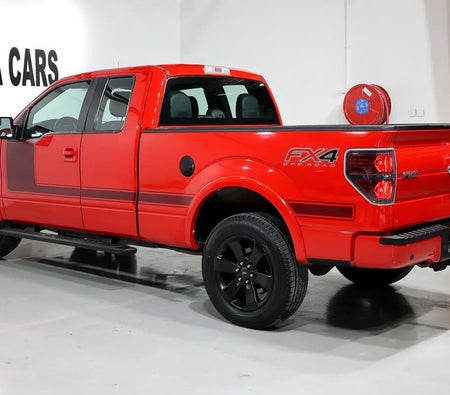 Ford F-150 2013, photo 4 of 4