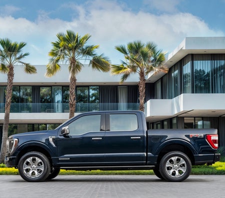 Ford F-Series Platinum 2023, photo 2 of 4