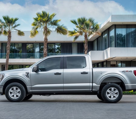 D'argento Ford F-Series XLT 2022