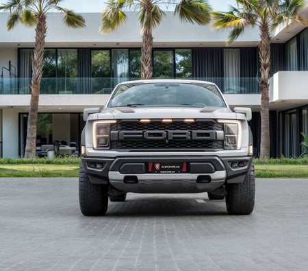 Ford F-Series Raptor 2023, photo 4 of 4