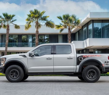 Ford F-Series Raptor 2023, photo 3 of 4