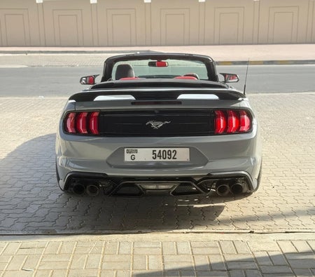 Gray Ford Mustang EcoBoost 2019