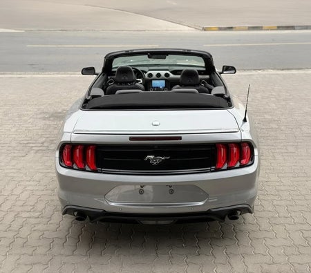 Ford Mustang EcoBoost 2022, photo 4 of 4