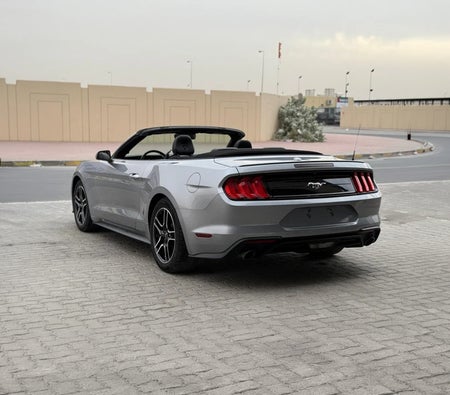 Silver Ford Mustang EcoBoost 2022