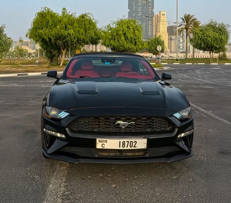 Ford Mustang Convertible 2021, photo 2 of 4