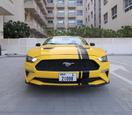 Ford Mustang EcoBoost Convertible V4 2020, photo 2 of 4