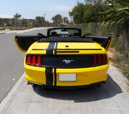 Ford Mustang EcoBoost Convertible V4 2020, photo 3 of 4