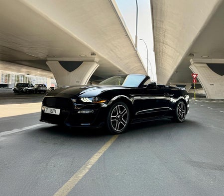 Ford Mustang EcoBoost Convertible V4 2021