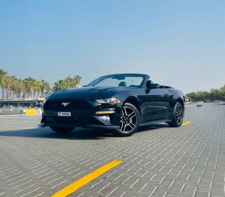 zwart Ford Mustang EcoBoost Convertible V4 2023 zwart Ford Mustang EcoBoost Convertible V4 2023