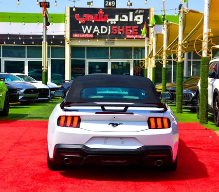 Ford Mustang EcoBoost Premium 2024, photo 4 of 4