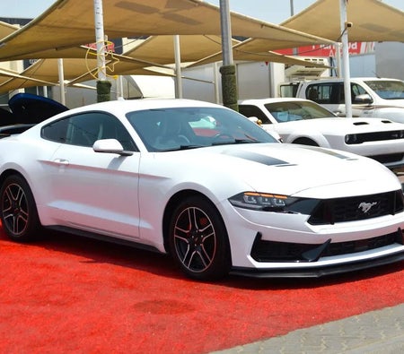 Ford Mustang EcoBoost 2020, photo 4 of 4