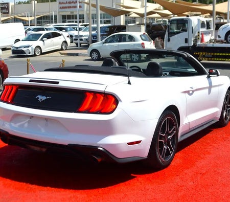 White Ford Mustang EcoBoost 2023