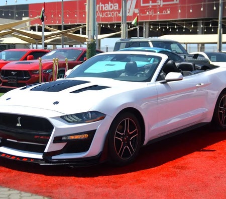 Ford Mustang EcoBoost 2023, photo 3 of 4