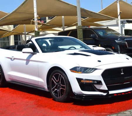 Ford Mustang EcoBoost 2023, photo 4 of 4