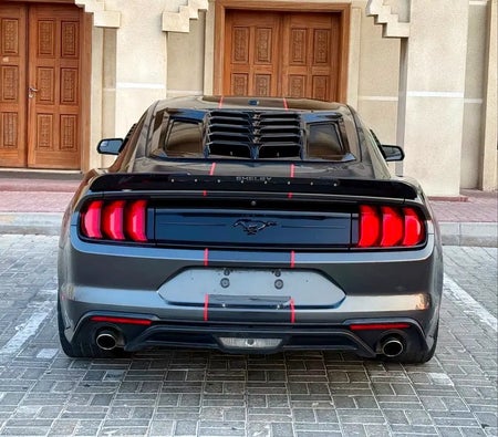 Grijs Ford Mustang EcoBoost 2020 Grijs Ford Mustang EcoBoost 2020