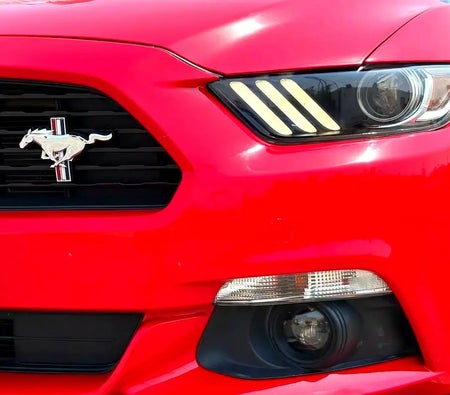 Ford Mustang GT California Special 2017, photo 3 of 4