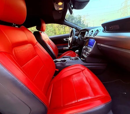 Black Ford Mustang GT 2020