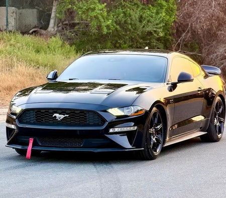Schwarz Ford Mustang GT 2020 Schwarz Ford Mustang GT 2020