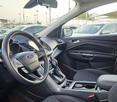 Ford Escape SE 2020, photo 3 of 4