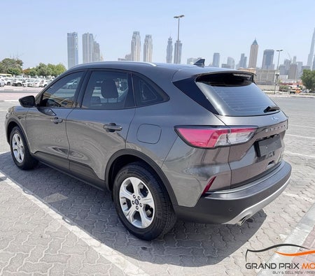 Gray Ford Escape 2021