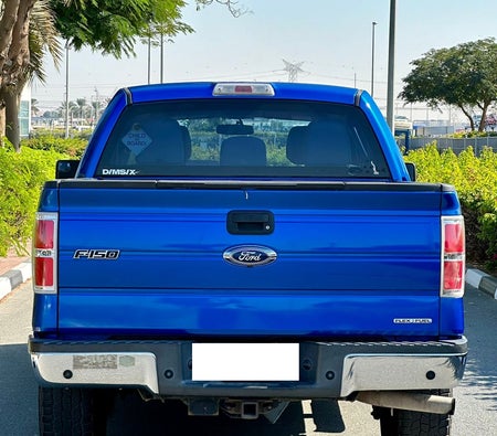 Mavi Ford F 150 2011