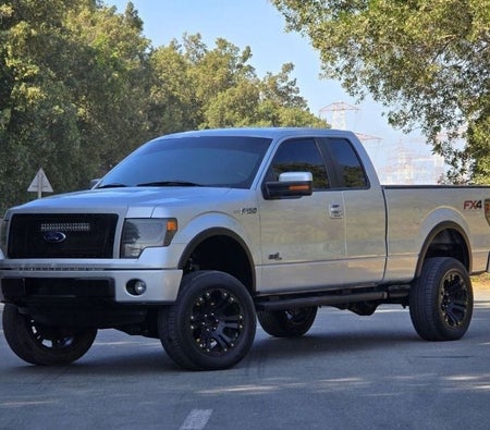 Ford F 150 2014, photo 3 of 4