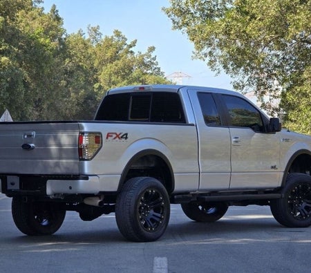 Argent Ford F 150 2014
